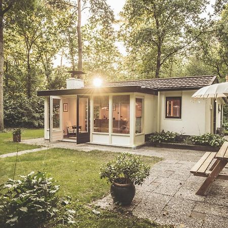 Boshuisje Op De Veluwe Nunspeet Zewnętrze zdjęcie