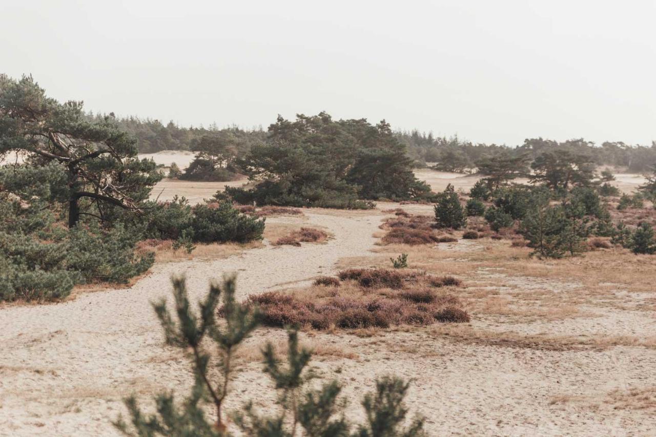 Boshuisje Op De Veluwe Nunspeet Zewnętrze zdjęcie