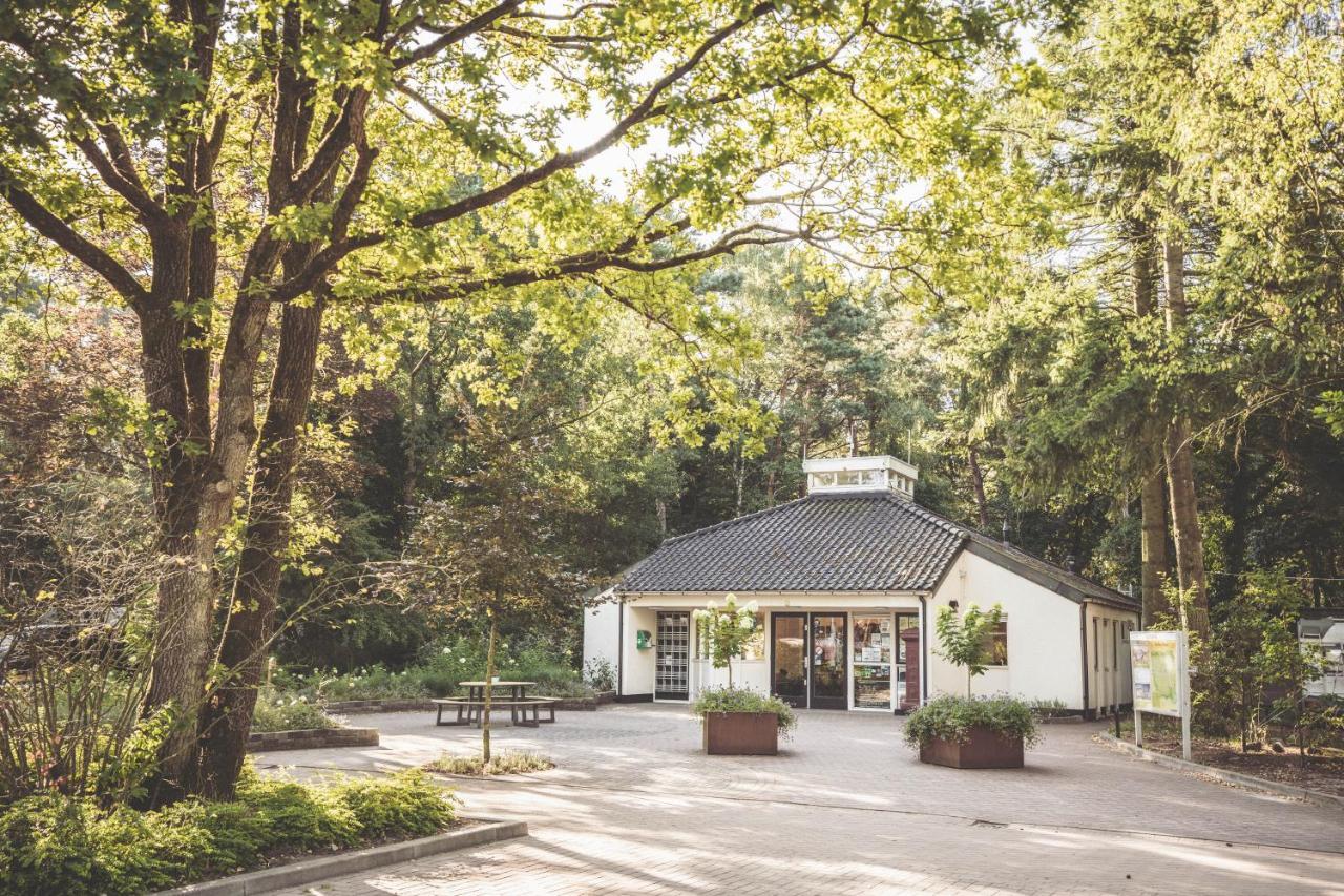 Boshuisje Op De Veluwe Nunspeet Zewnętrze zdjęcie